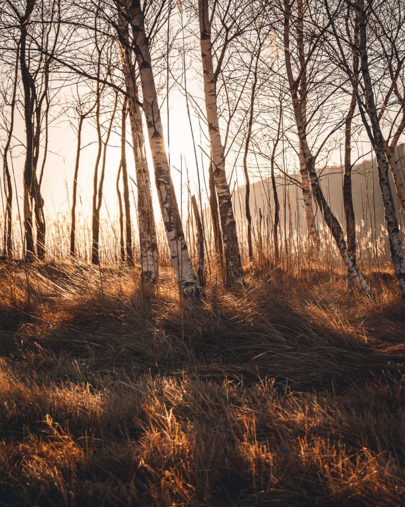 Landscape- Michele Franciotta photographer